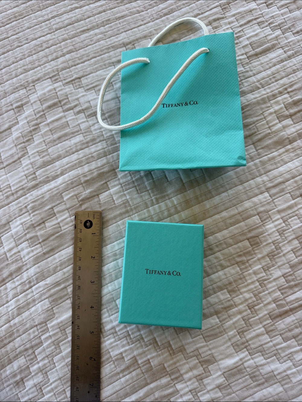 Tiffany & Co. Signature Robin's Egg Blue Gift Box and Bag